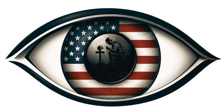 VISION Network Logo