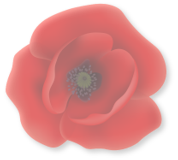Memorial Poppy