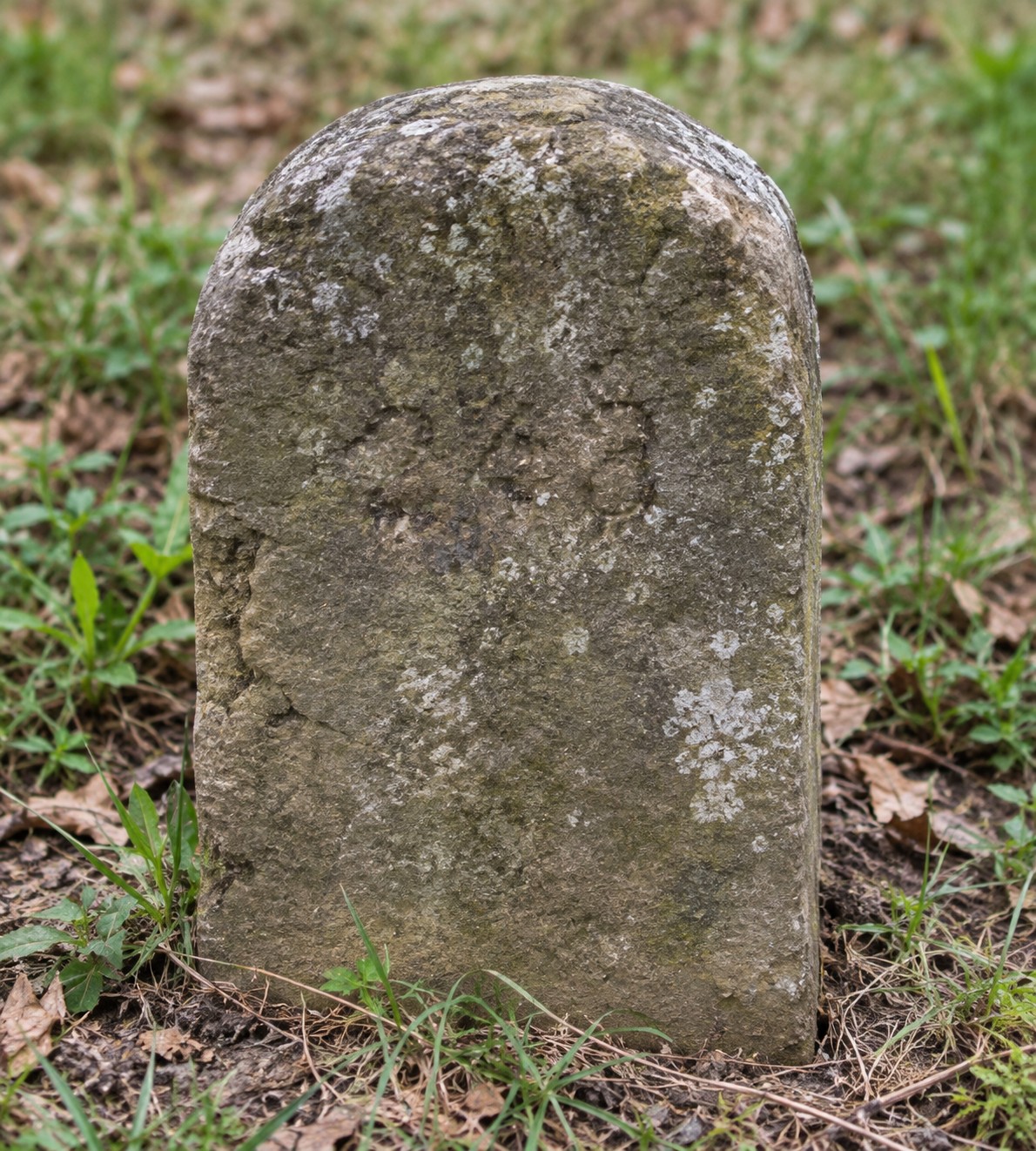 A weathered numbered cemetery marker surrounded by grass
